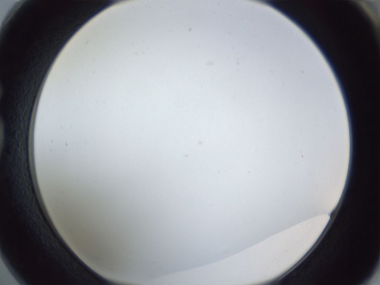 folderID205_plateID1205_batchID3675_wellNum73_profileID1_d1_r66896_ef.jpg