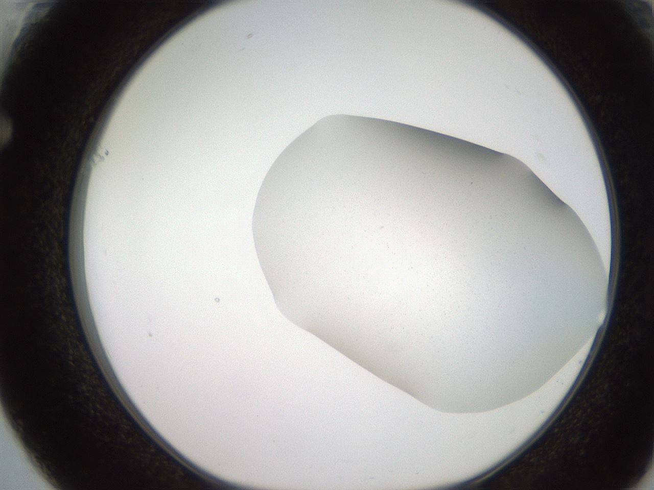 folderID205_plateID2205_batchID10007_wellNum61_profileID1_d1_r150063_ef.jpg