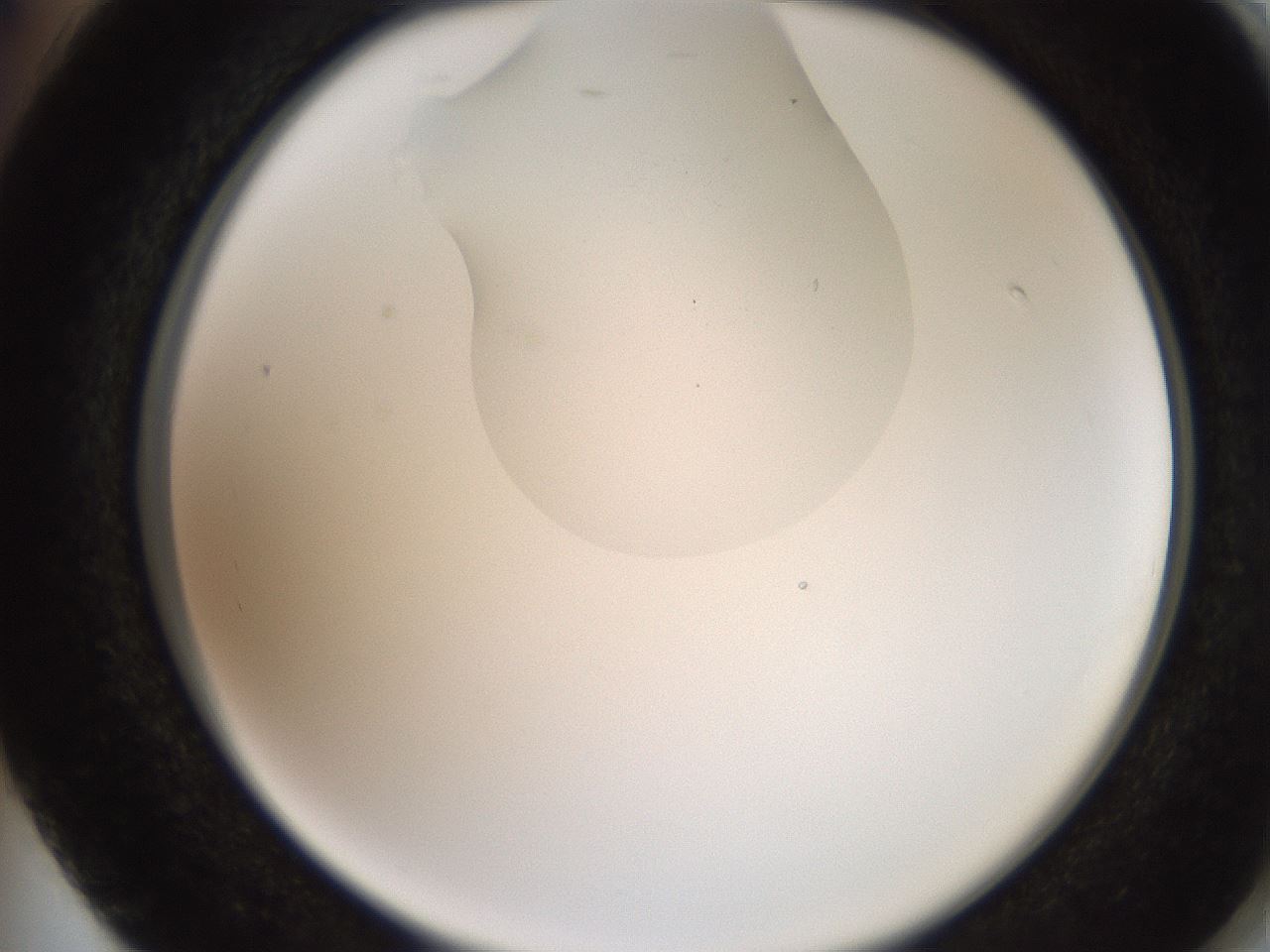 folderID205_plateID2205_batchID10007_wellNum74_profileID1_d2_r150090_ef.jpg