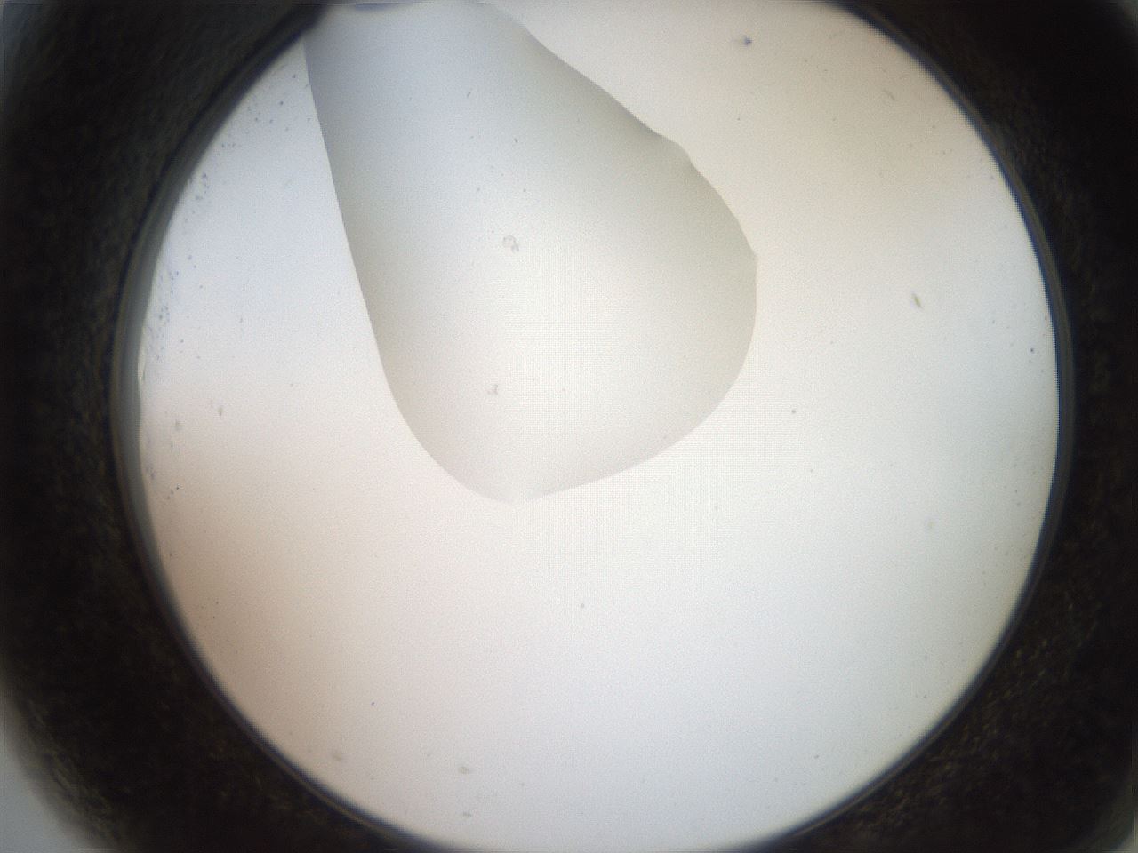folderID205_plateID2205_batchID10007_wellNum81_profileID1_d2_r150104_ef.jpg