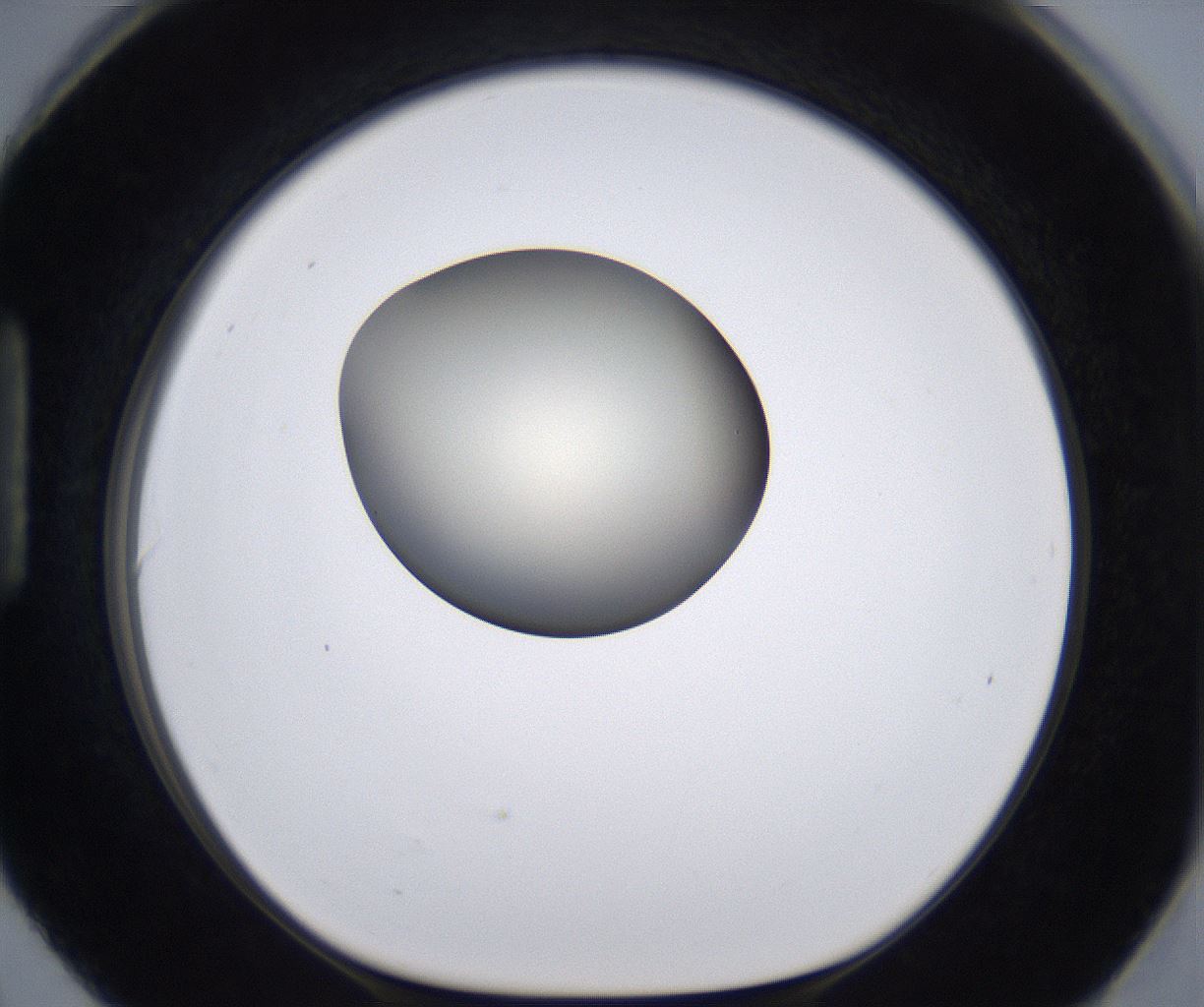 folderID204_plateID2204_batchID9975_wellNum90_profileID1_d1_r149648_ef.jpg