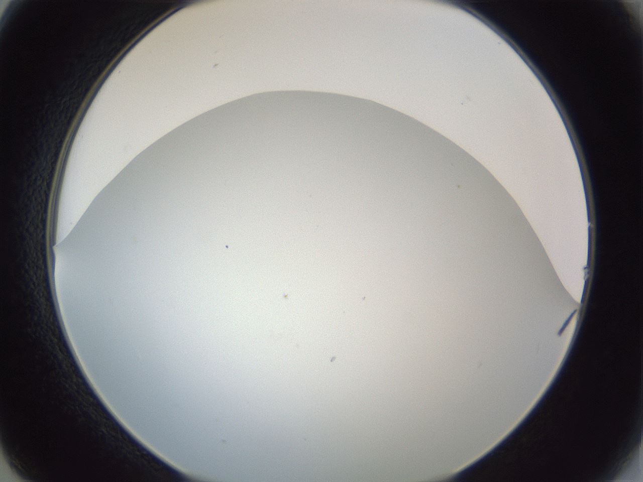 folderID205_plateID1205_batchID3629_wellNum14_profileID1_d2_r66779_ef.jpg