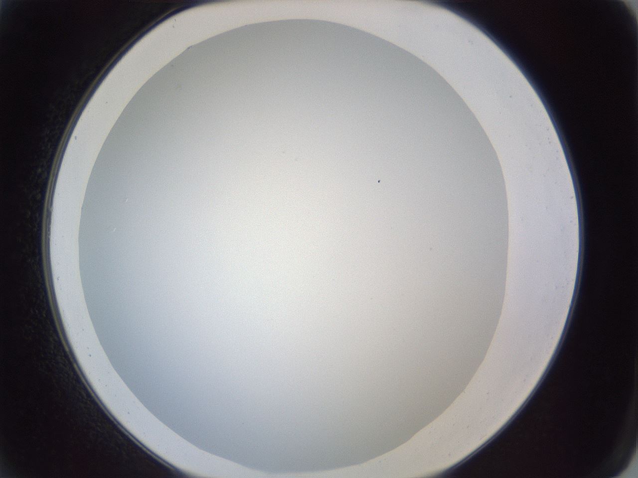 folderID205_plateID1205_batchID3629_wellNum2_profileID1_d2_r66755_ef.jpg