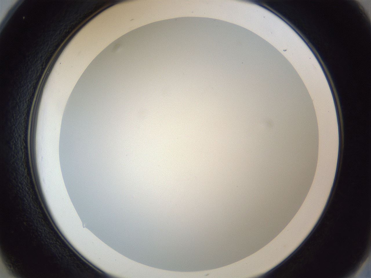 folderID205_plateID1205_batchID3675_wellNum25_profileID1_d2_r66801_ef.jpg
