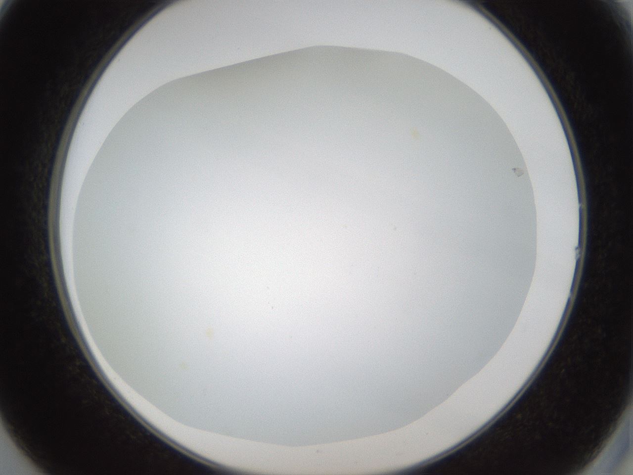 folderID206_plateID1206_batchID3631_wellNum14_profileID1_d2_r66971_ef.jpg