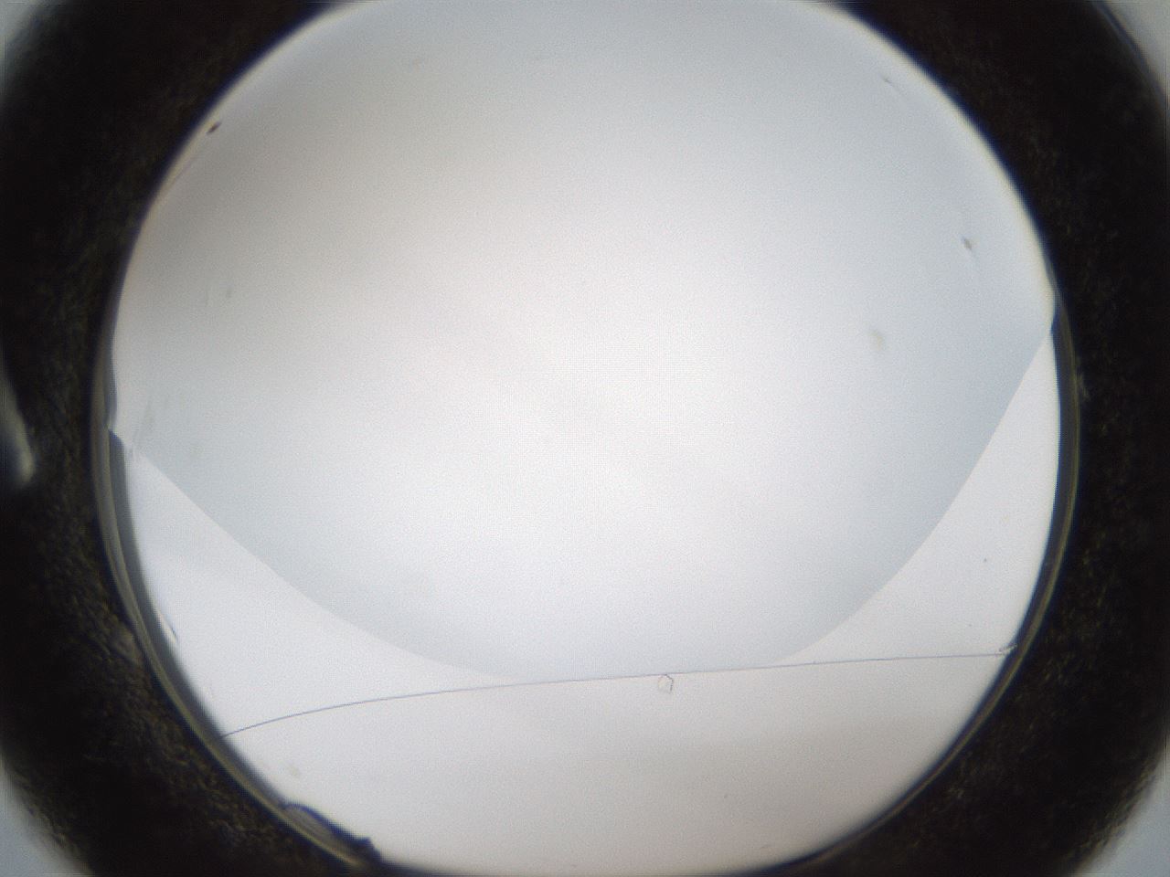 folderID206_plateID1206_batchID3631_wellNum1_profileID1_d1_r66944_ef.jpg