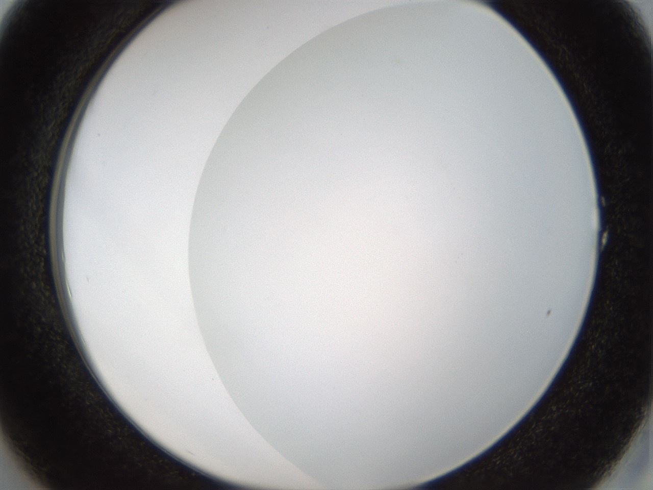 folderID206_plateID1206_batchID3631_wellNum1_profileID1_d2_r66945_ef.jpg