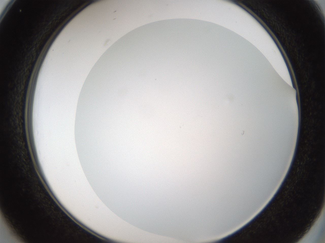 folderID206_plateID1206_batchID3631_wellNum25_profileID1_d2_r66993_ef.jpg