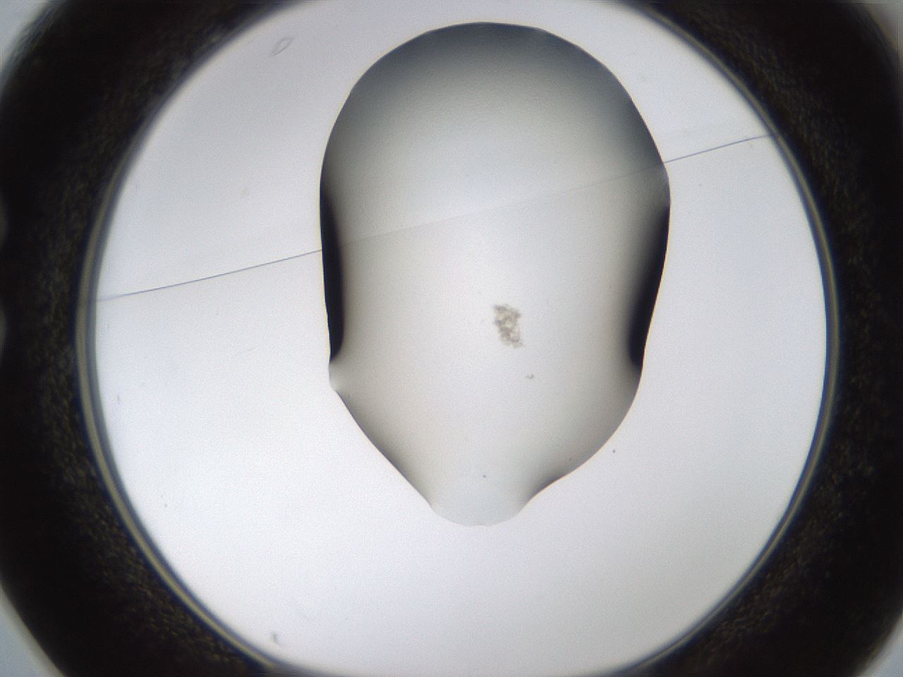 folderID458_plateID1458_batchID5590_wellNum25_profileID1_d1_r92477_ef.jpg