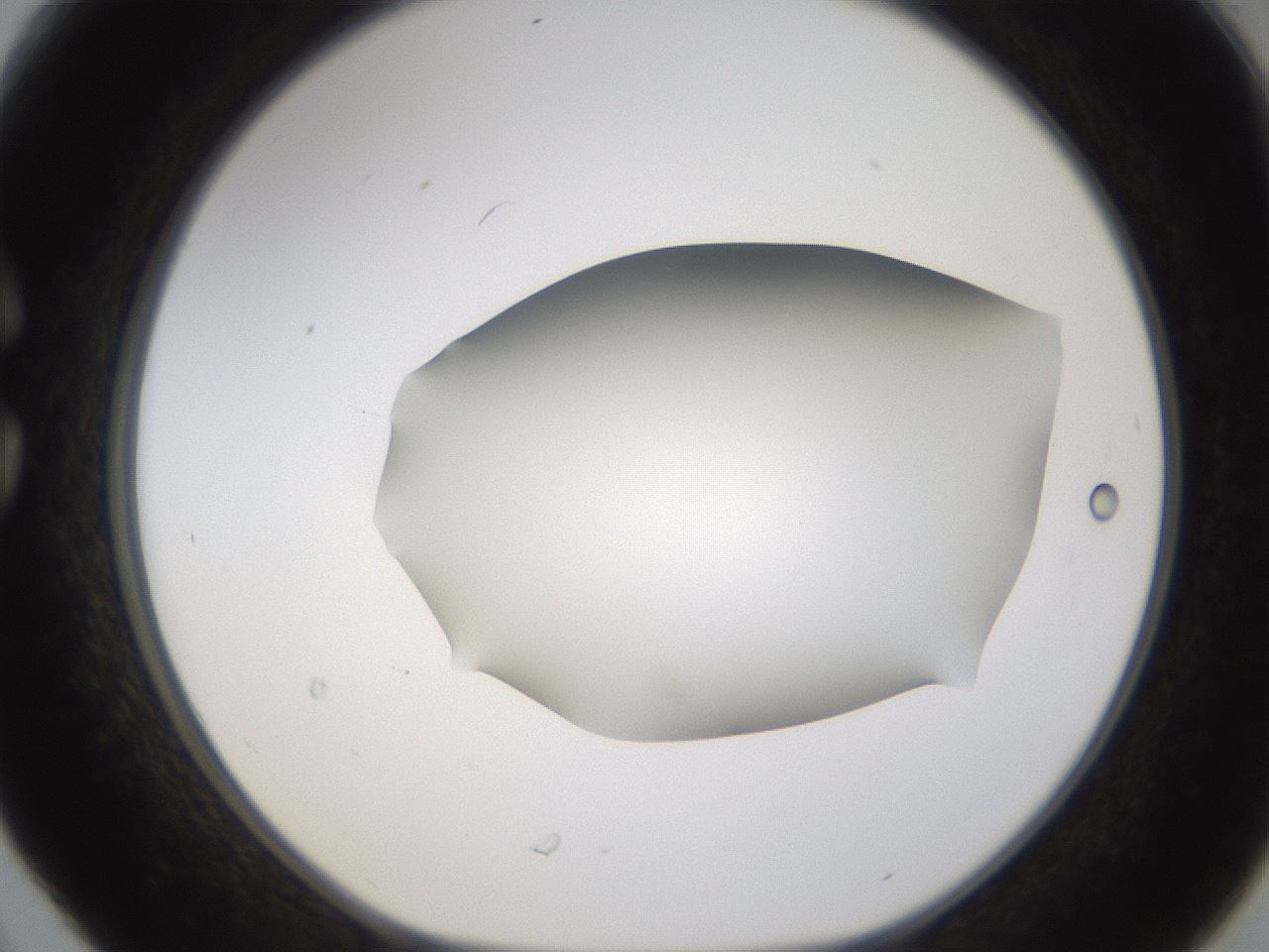 folderID458_plateID1458_batchID5590_wellNum30_profileID1_d1_r92482_ef.jpg