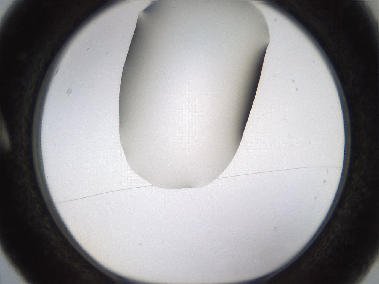 folderID458_plateID1458_batchID5590_wellNum5_profileID1_d1_r92465_ef.jpg