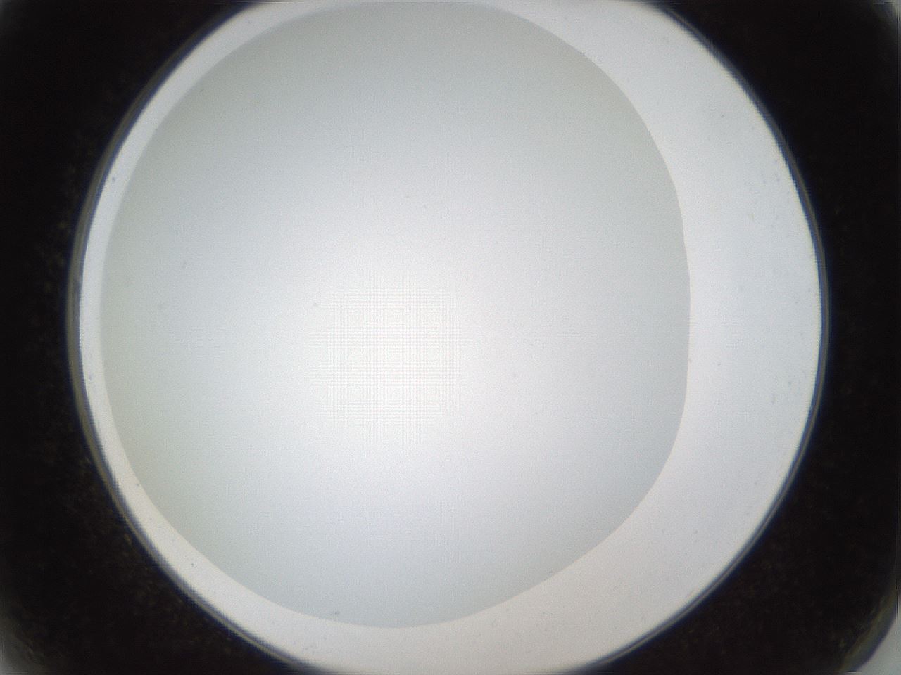 folderID206_plateID1206_batchID3631_wellNum2_profileID1_d2_r66947_ef.jpg