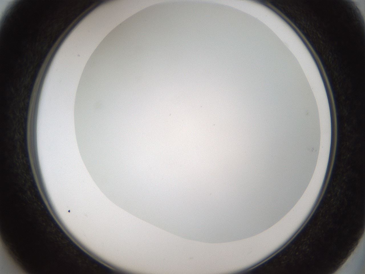 folderID206_plateID1206_batchID3631_wellNum37_profileID1_d2_r67017_ef.jpg