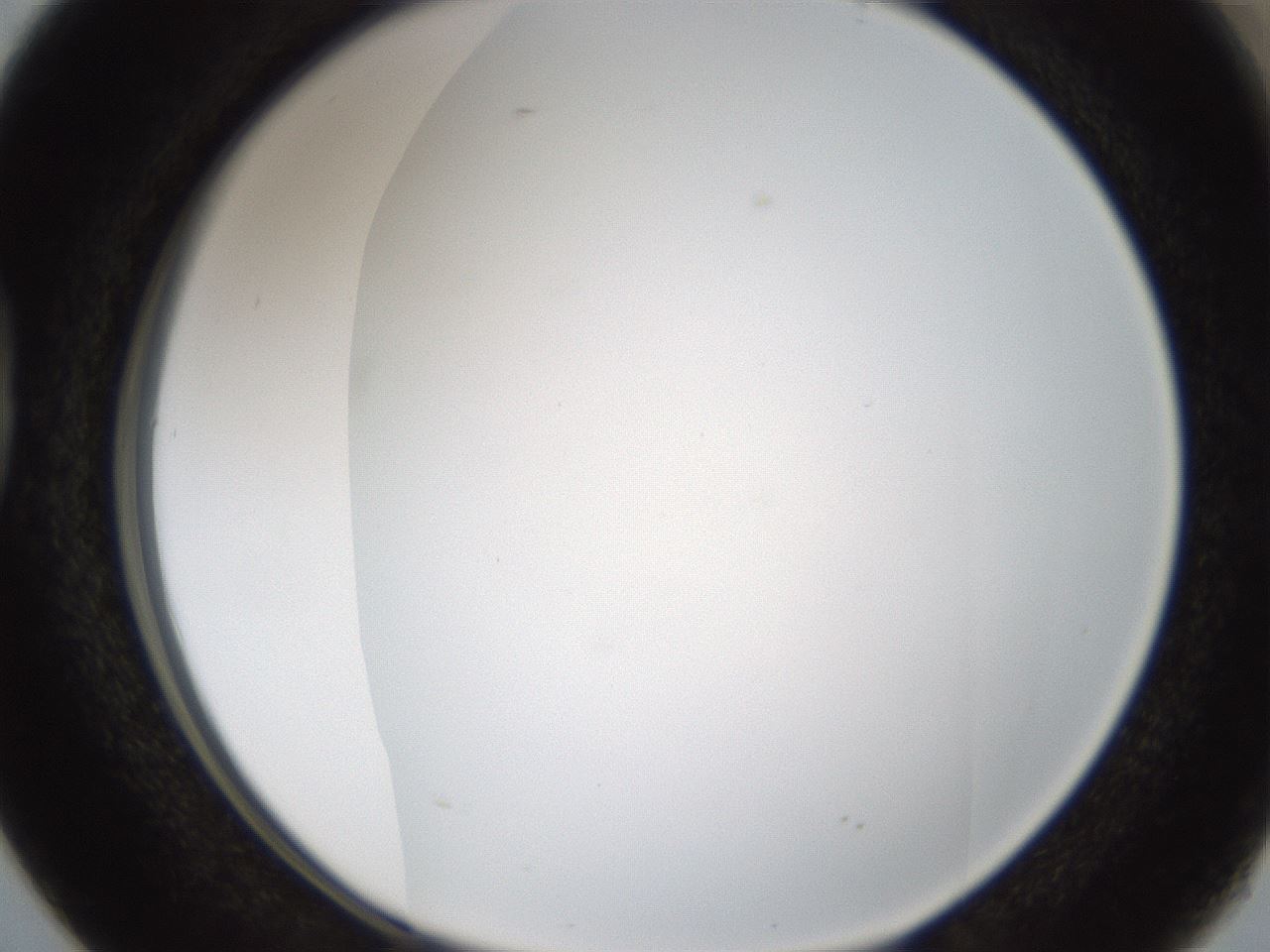 folderID206_plateID1206_batchID3631_wellNum38_profileID1_d1_r67018_ef.jpg