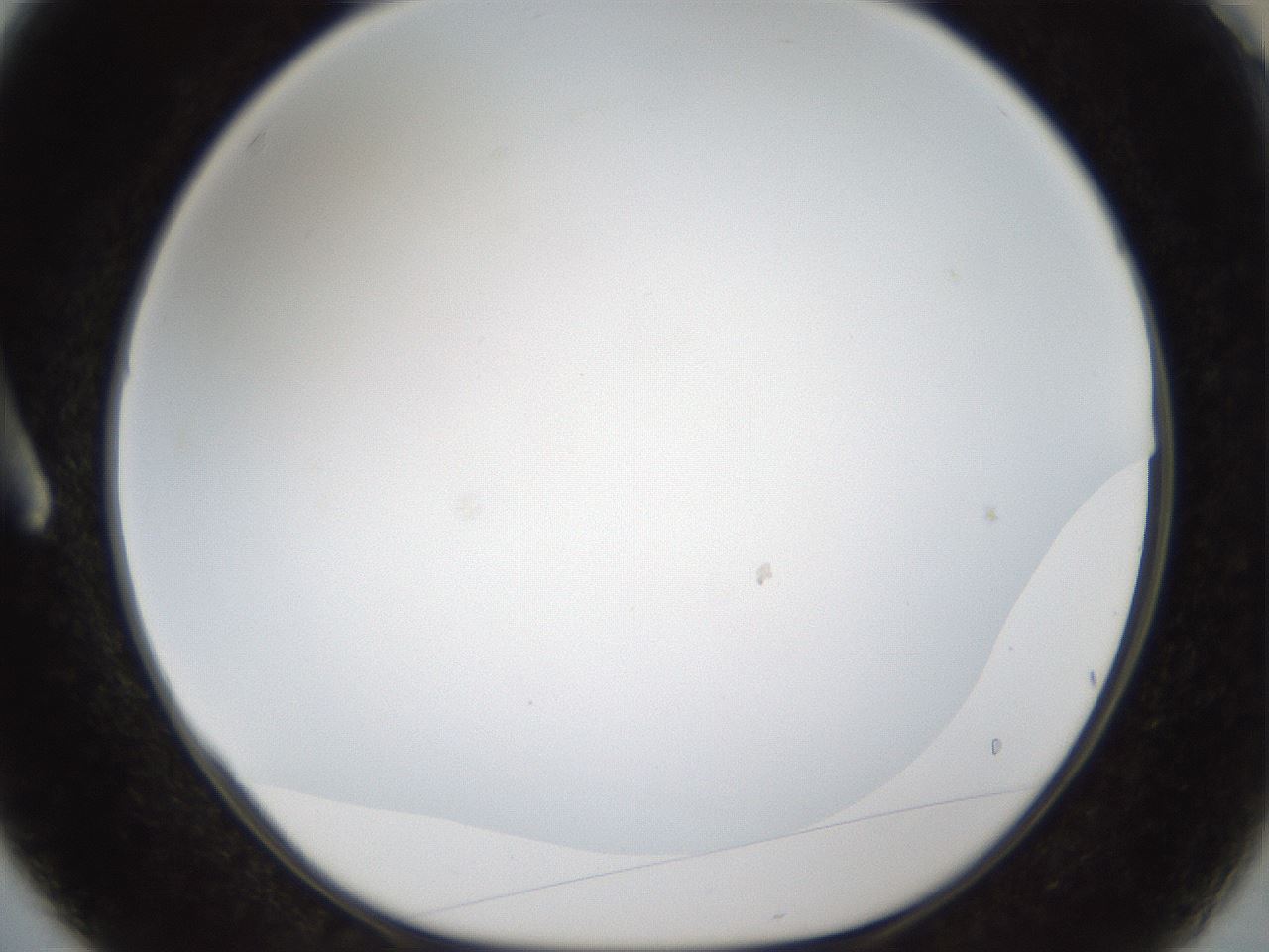 folderID206_plateID1206_batchID3631_wellNum3_profileID1_d1_r66948_ef.jpg