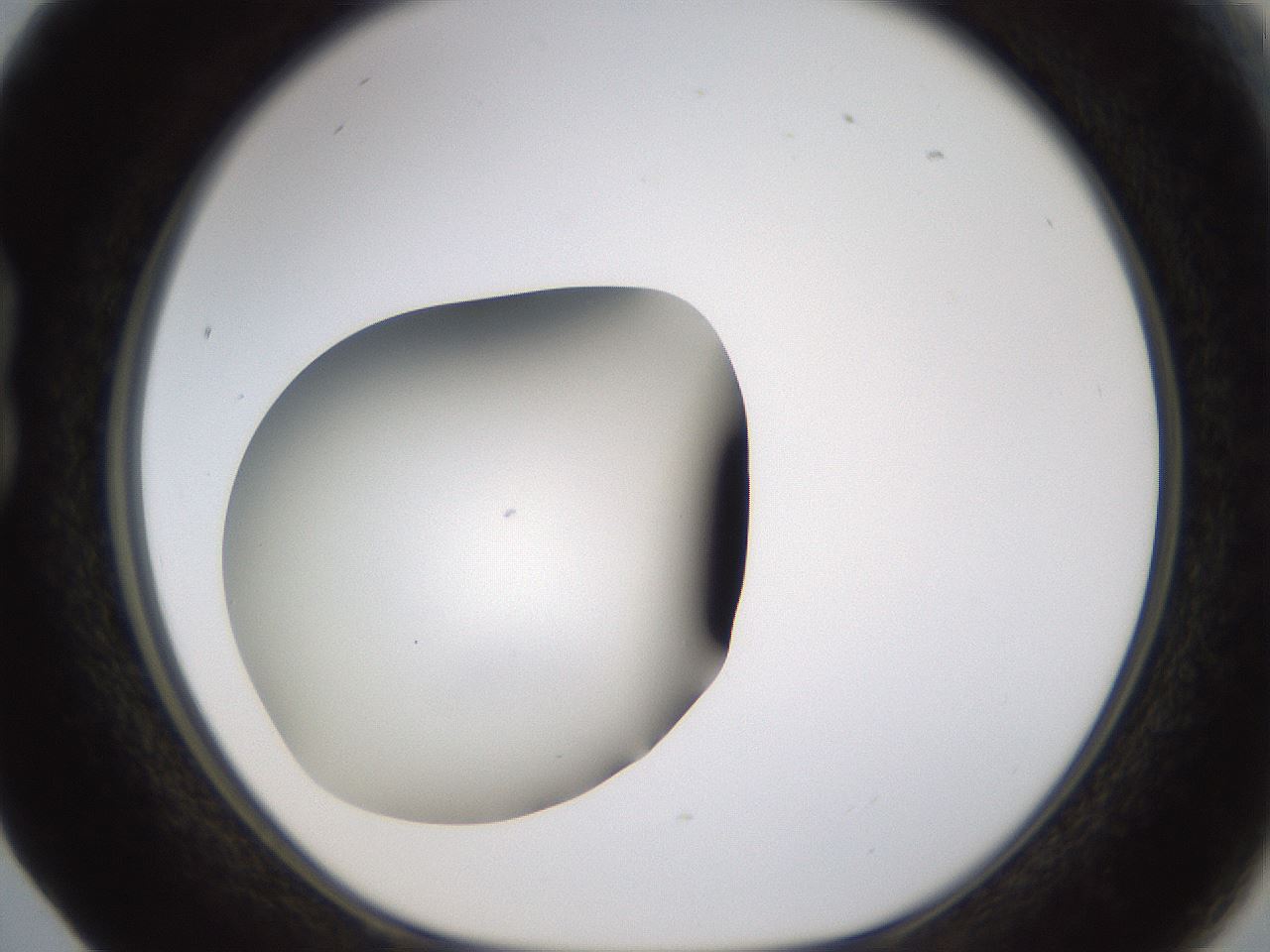 folderID459_plateID1459_batchID5589_wellNum17_profileID1_d1_r92405_ef.jpg