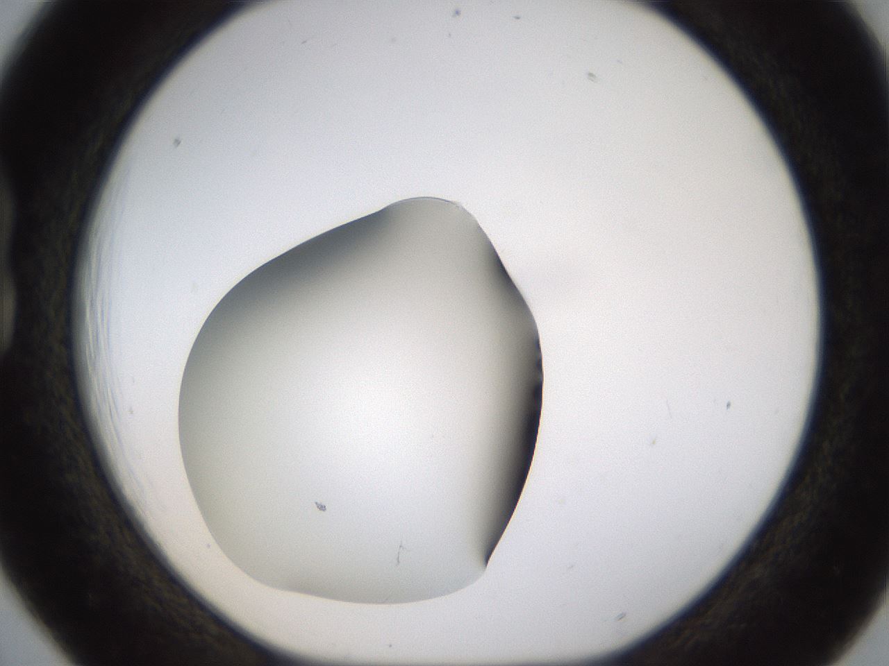 folderID459_plateID1459_batchID5589_wellNum18_profileID1_d1_r92407_ef.jpg