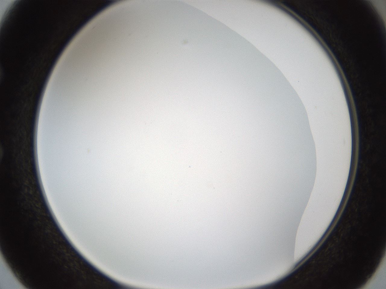 folderID206_plateID1206_batchID3631_wellNum50_profileID1_d1_r67042_ef.jpg