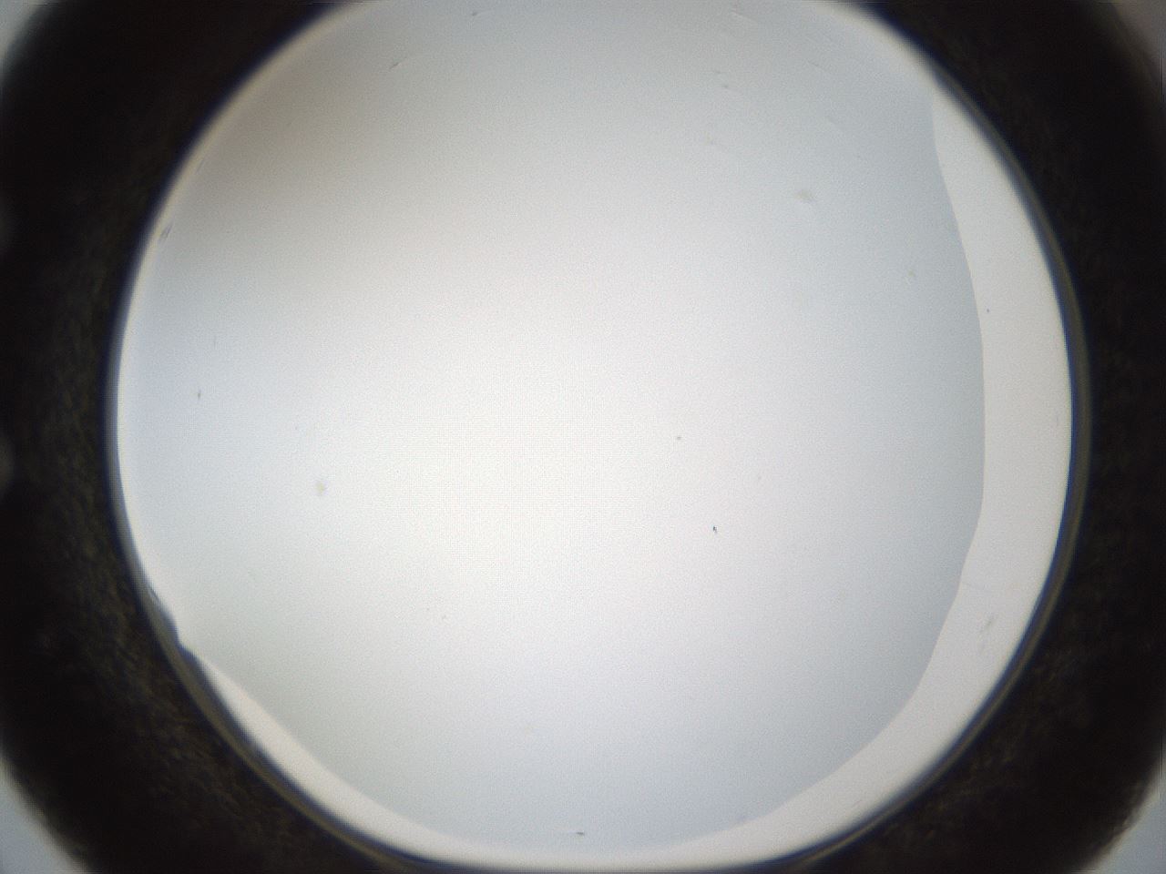 folderID206_plateID1206_batchID3631_wellNum51_profileID1_d1_r67044_ef.jpg