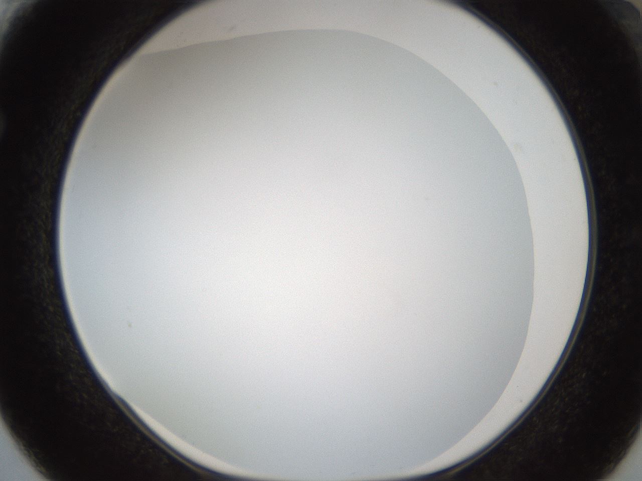 folderID206_plateID1206_batchID3631_wellNum61_profileID1_d1_r67064_ef.jpg