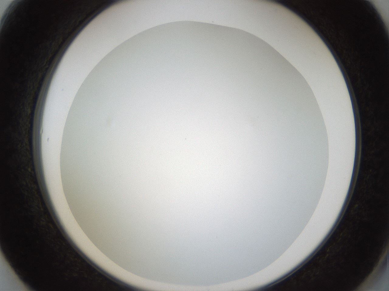 folderID206_plateID1206_batchID3631_wellNum61_profileID1_d2_r67065_ef.jpg