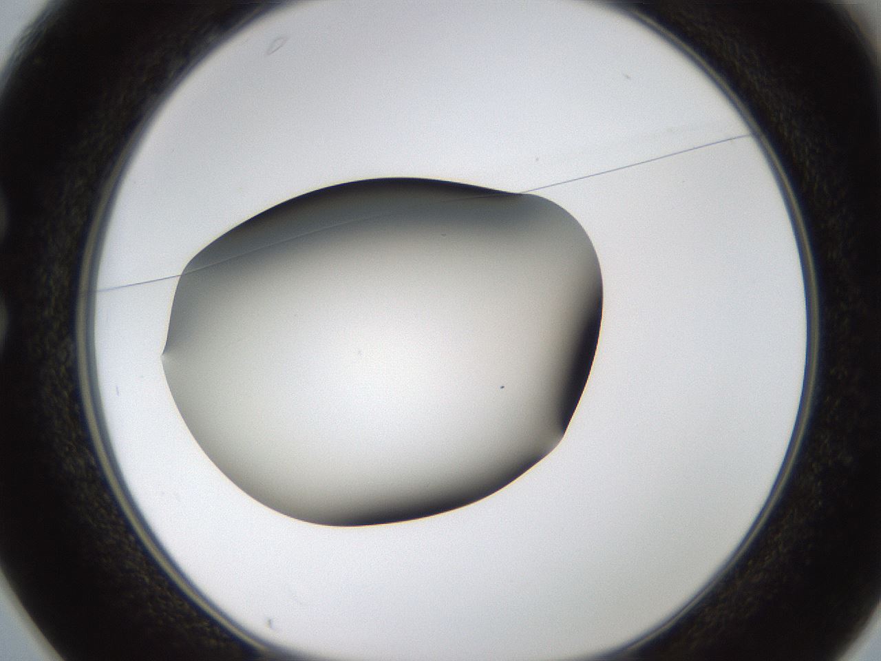 folderID459_plateID1459_batchID5589_wellNum25_profileID1_d1_r92413_ef.jpg
