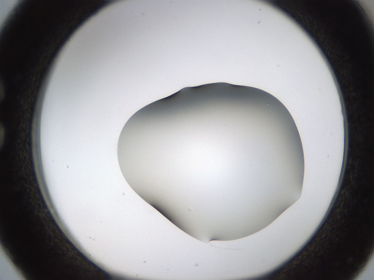 folderID459_plateID1459_batchID5589_wellNum26_profileID1_d1_r92415_ef.jpg
