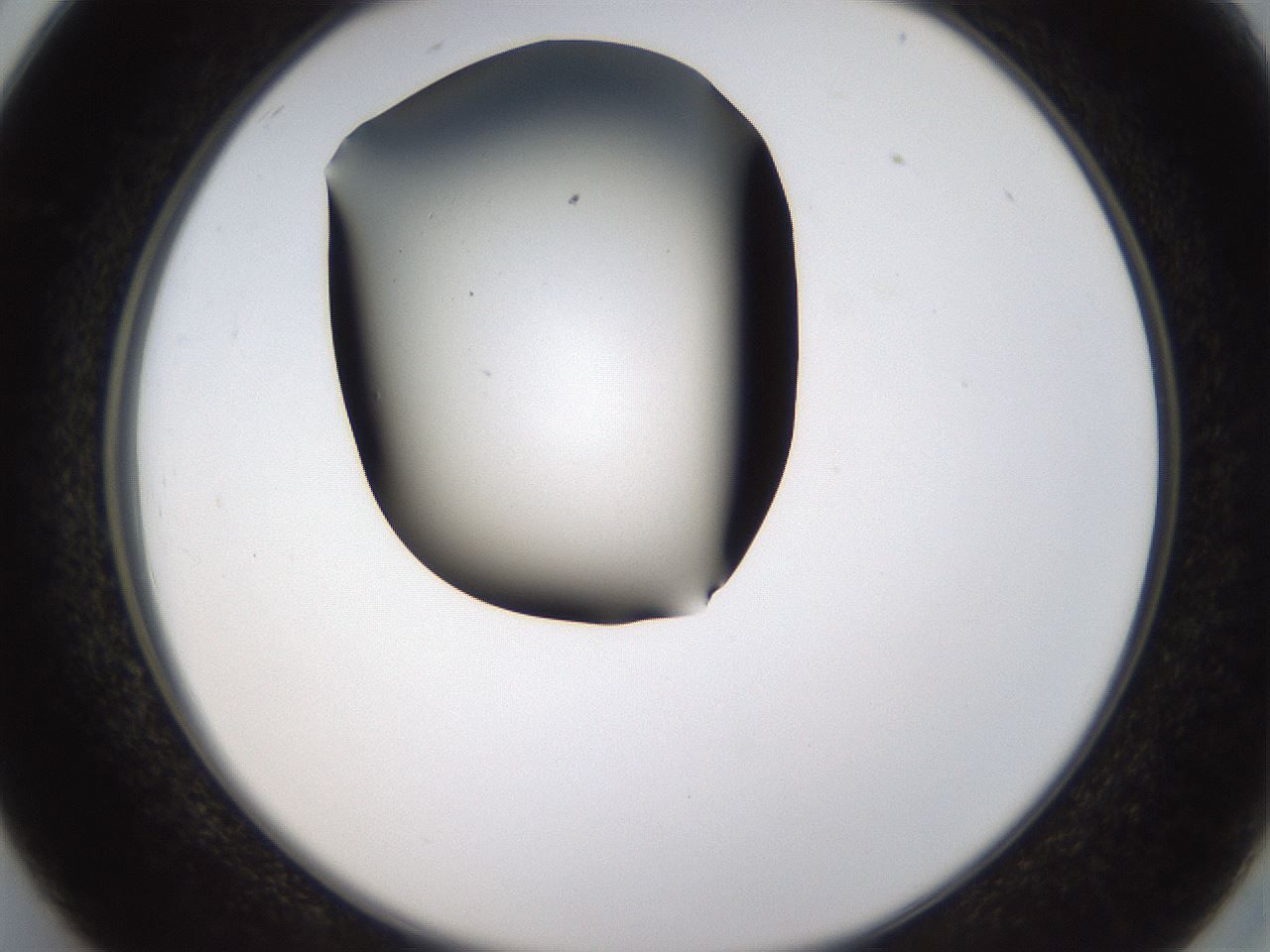 folderID459_plateID1459_batchID5589_wellNum26_profileID1_d2_r92416_ef.jpg