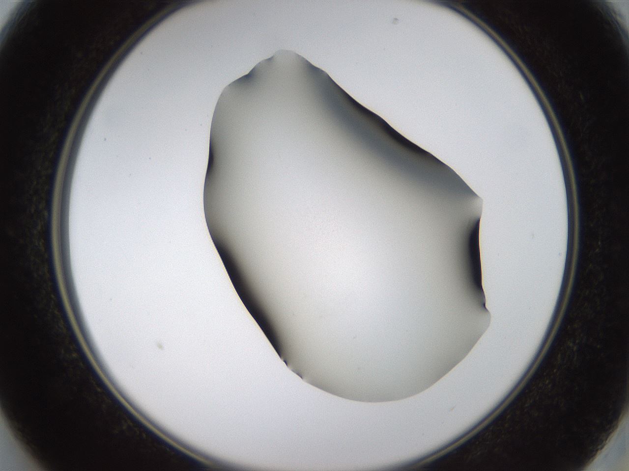 folderID459_plateID1459_batchID5589_wellNum13_profileID1_d2_r92398_ef.jpg