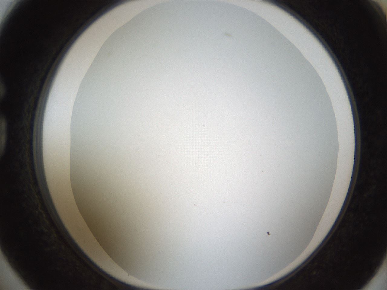 folderID206_plateID1206_batchID3631_wellNum74_profileID1_d1_r67090_ef.jpg