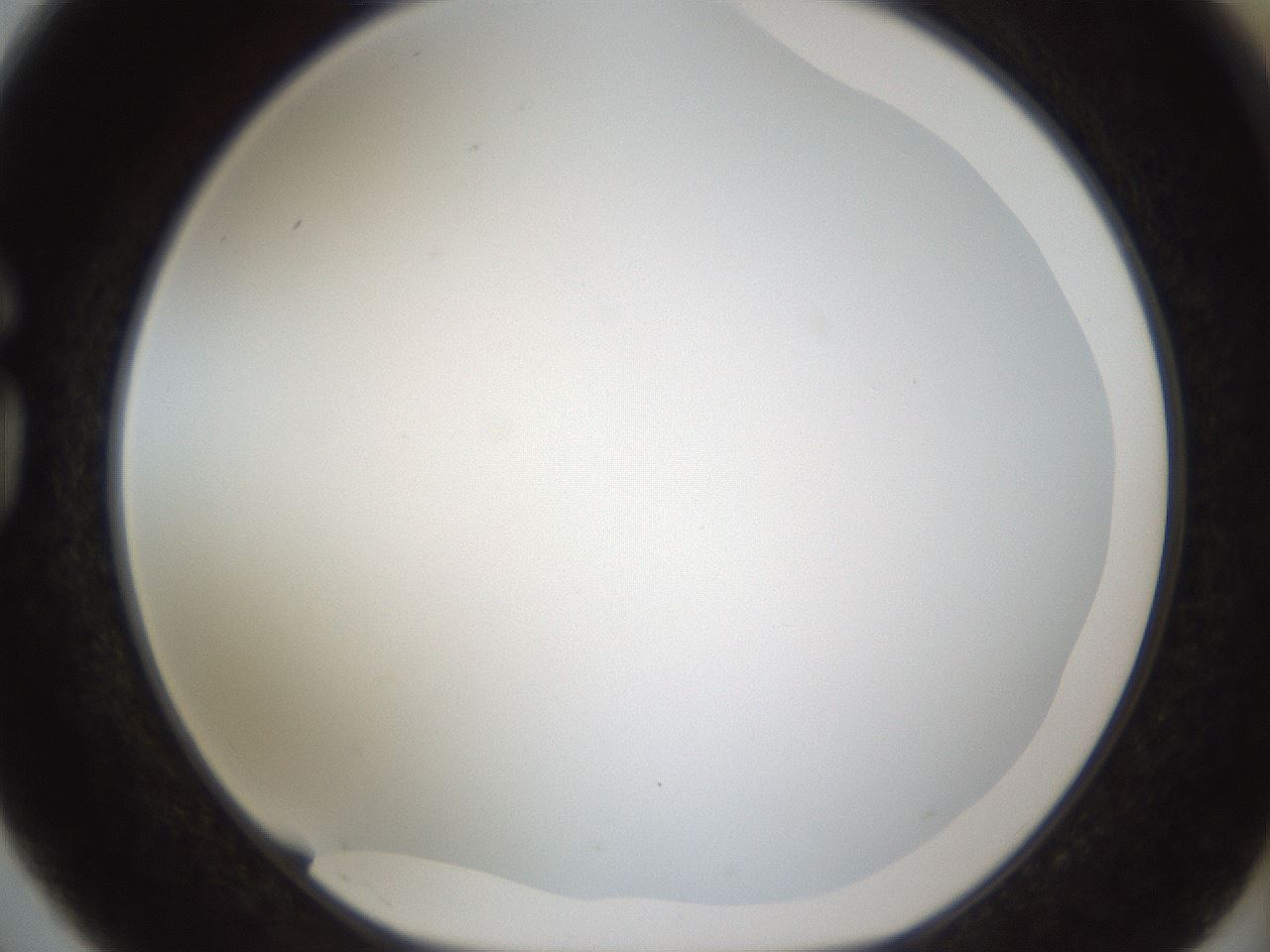 folderID206_plateID1206_batchID3631_wellNum75_profileID1_d1_r67092_ef.jpg