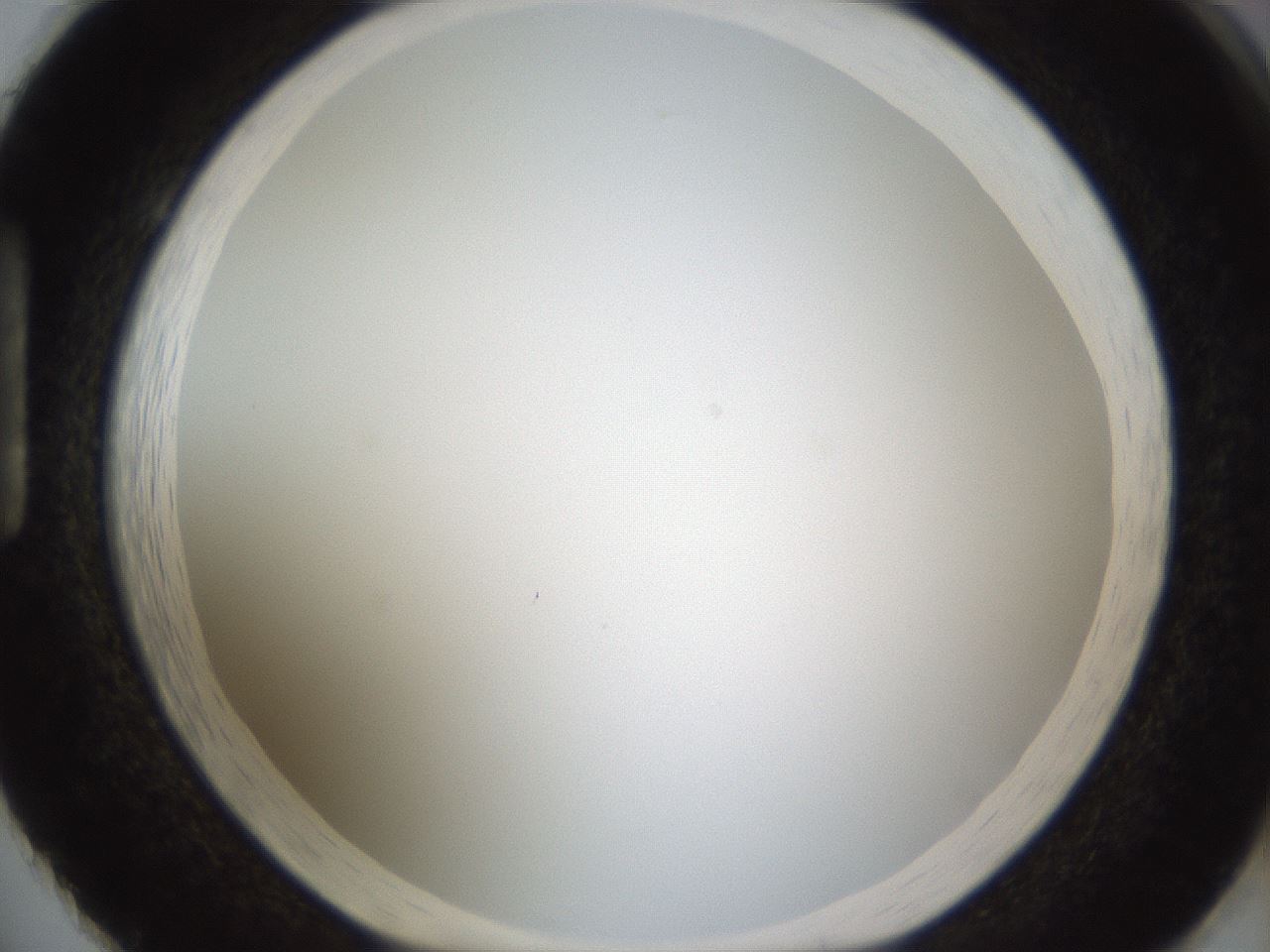 folderID206_plateID1206_batchID3631_wellNum86_profileID1_d1_r67114_ef.jpg