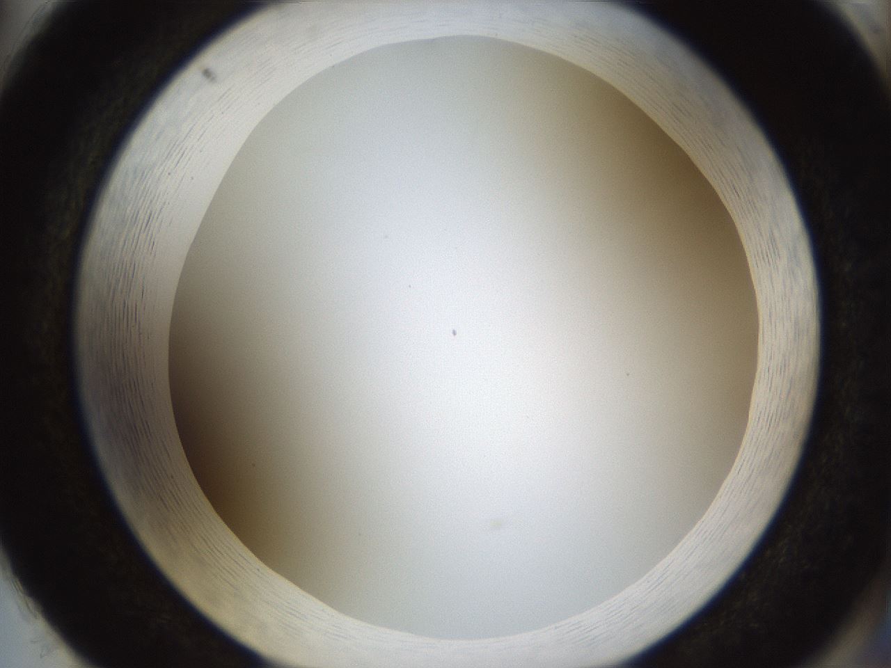 folderID206_plateID1206_batchID3631_wellNum86_profileID1_d2_r67115_ef.jpg