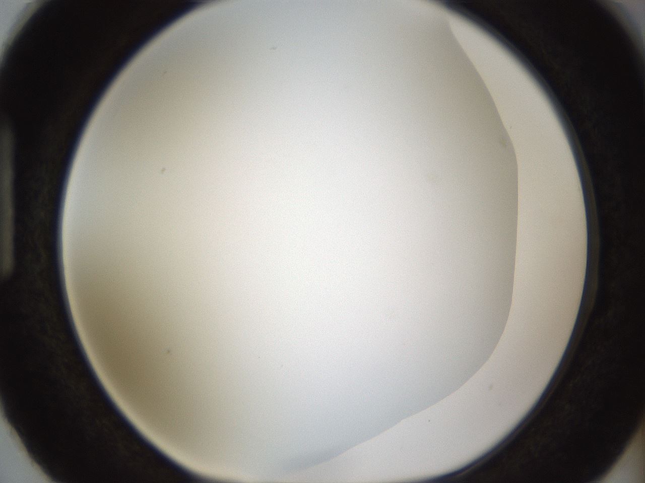 folderID206_plateID1206_batchID3631_wellNum87_profileID1_d1_r67116_ef.jpg