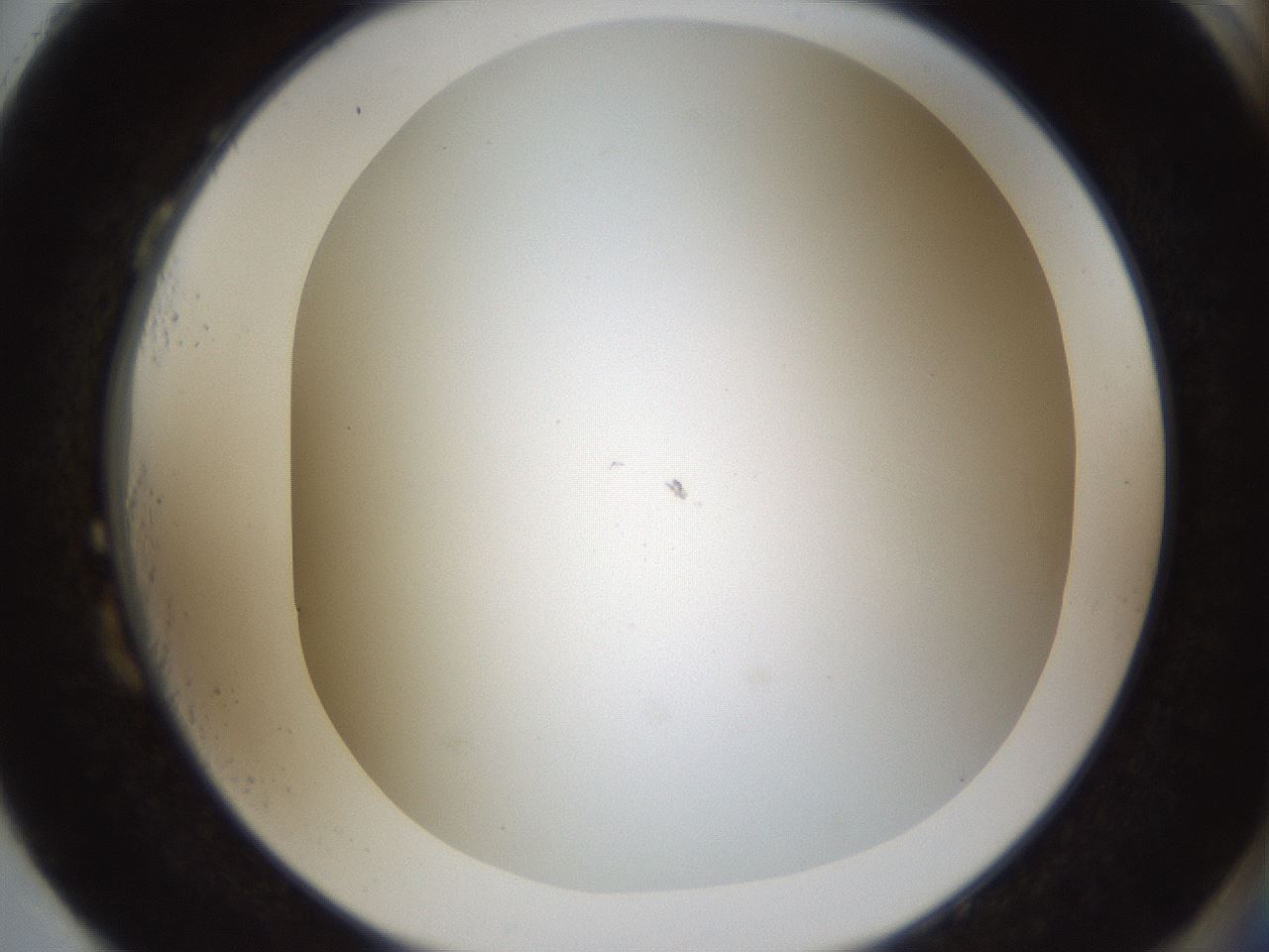 folderID206_plateID1206_batchID3631_wellNum87_profileID1_d2_r67117_ef.jpg