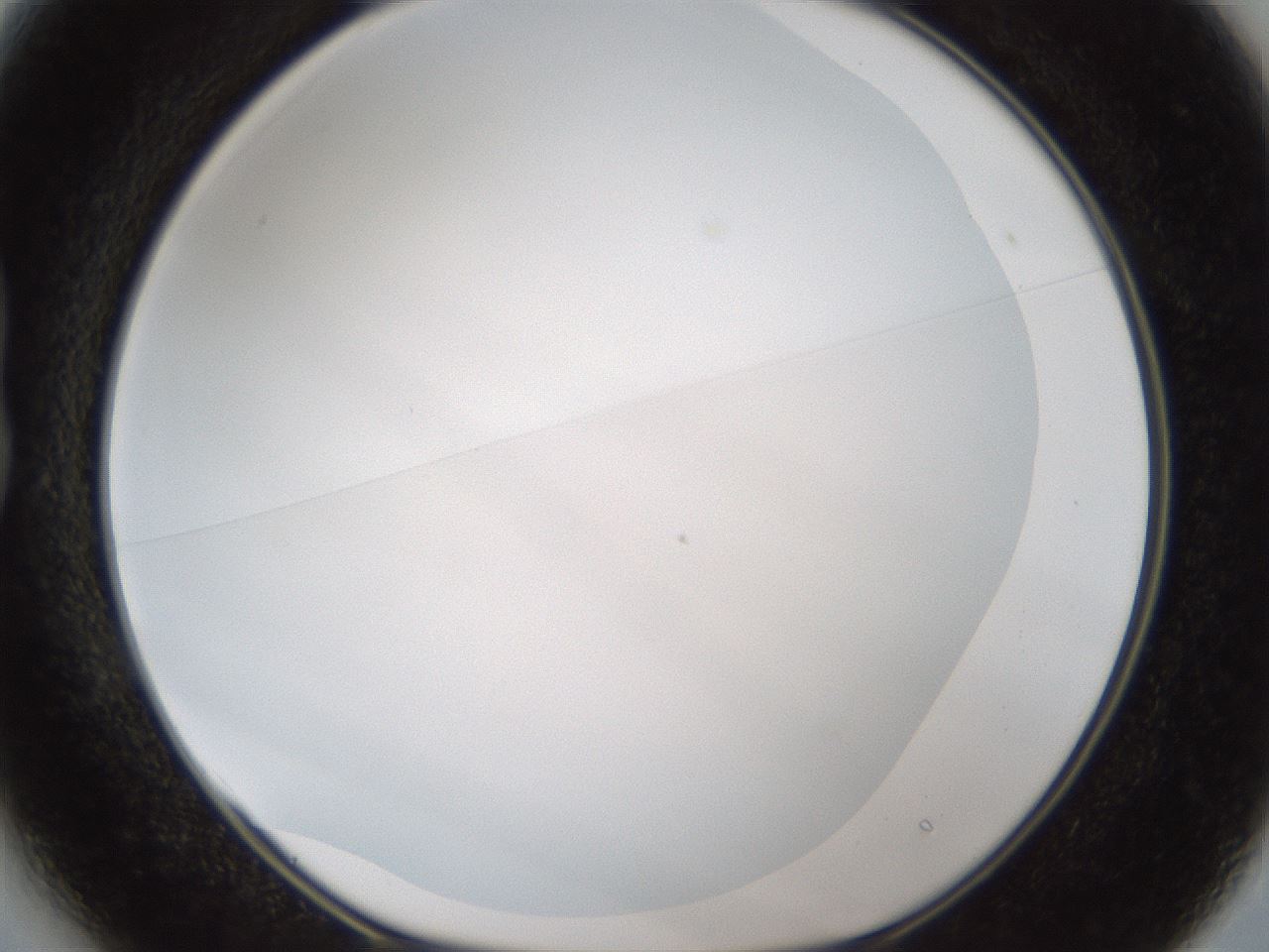 folderID206_plateID1206_batchID3677_wellNum13_profileID1_d1_r66968_ef.jpg