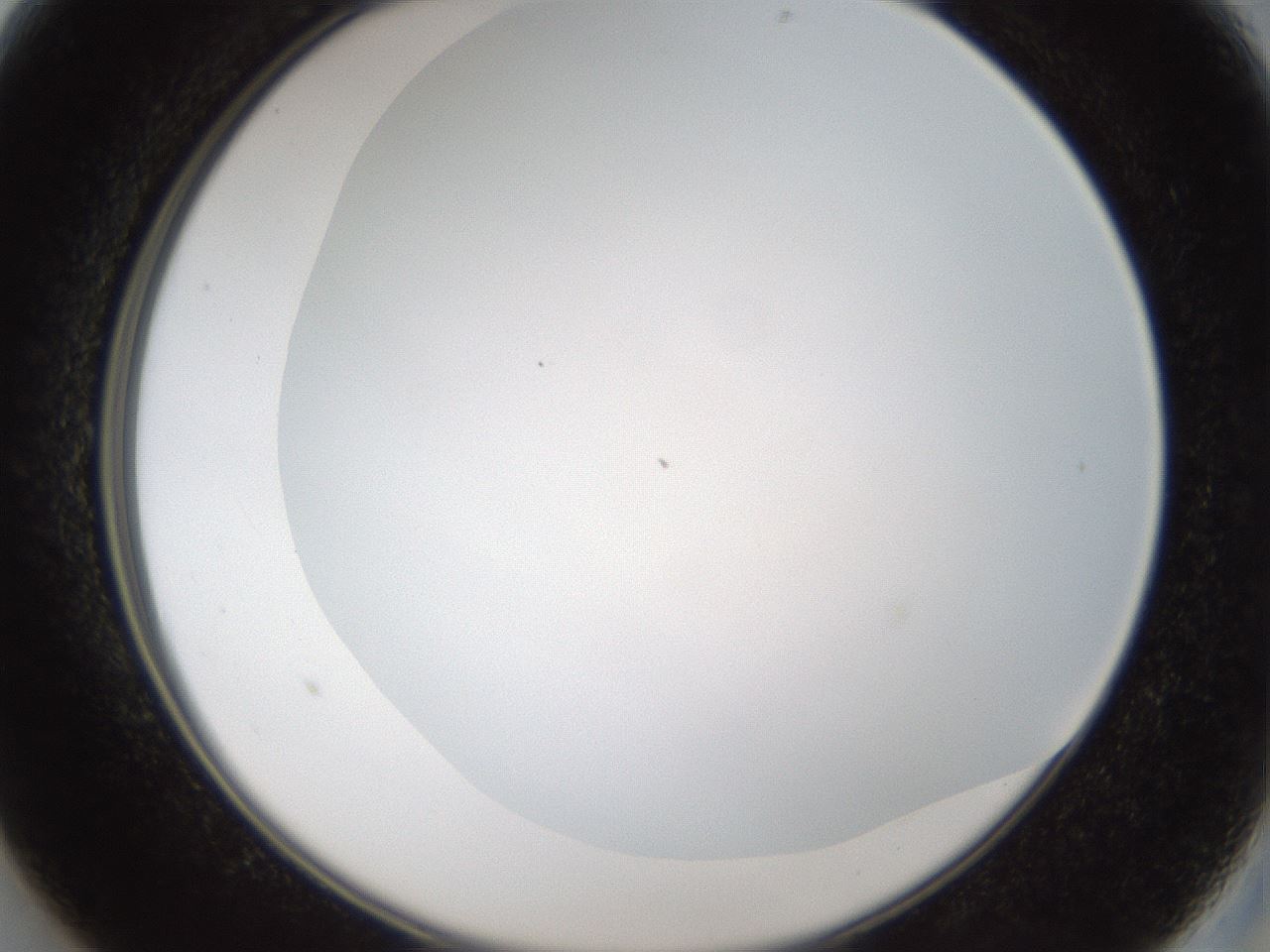folderID206_plateID1206_batchID3677_wellNum13_profileID1_d2_r66969_ef.jpg