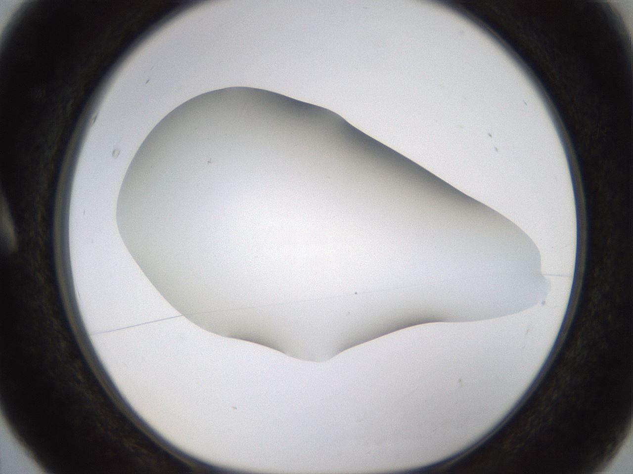 folderID459_plateID1459_batchID5589_wellNum5_profileID1_d1_r92389_ef.jpg