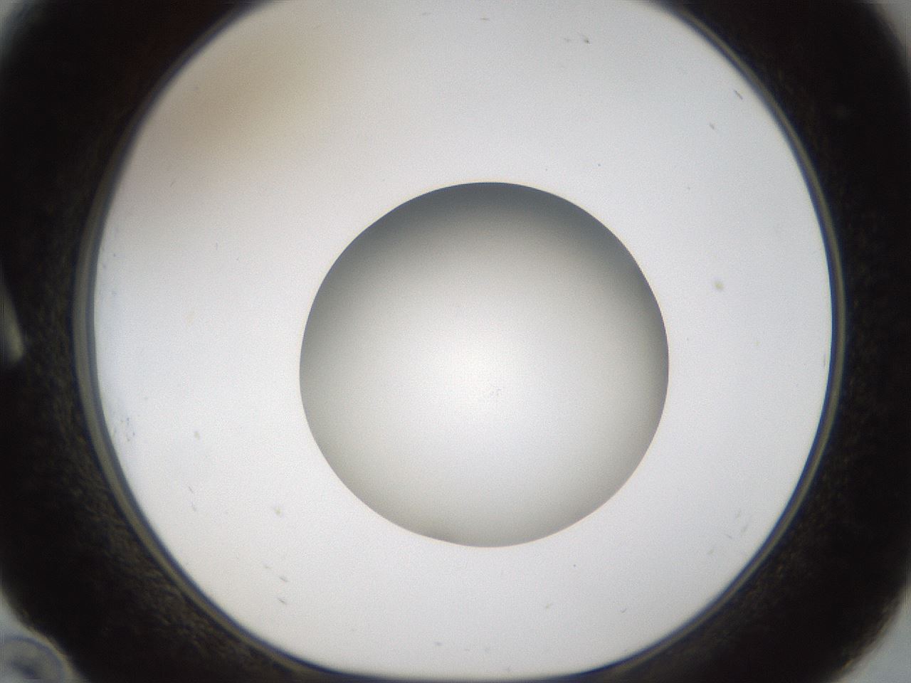 folderID45_plateID1045_batchID2122_wellNum10_profileID1_d1_r47025_ef.jpg