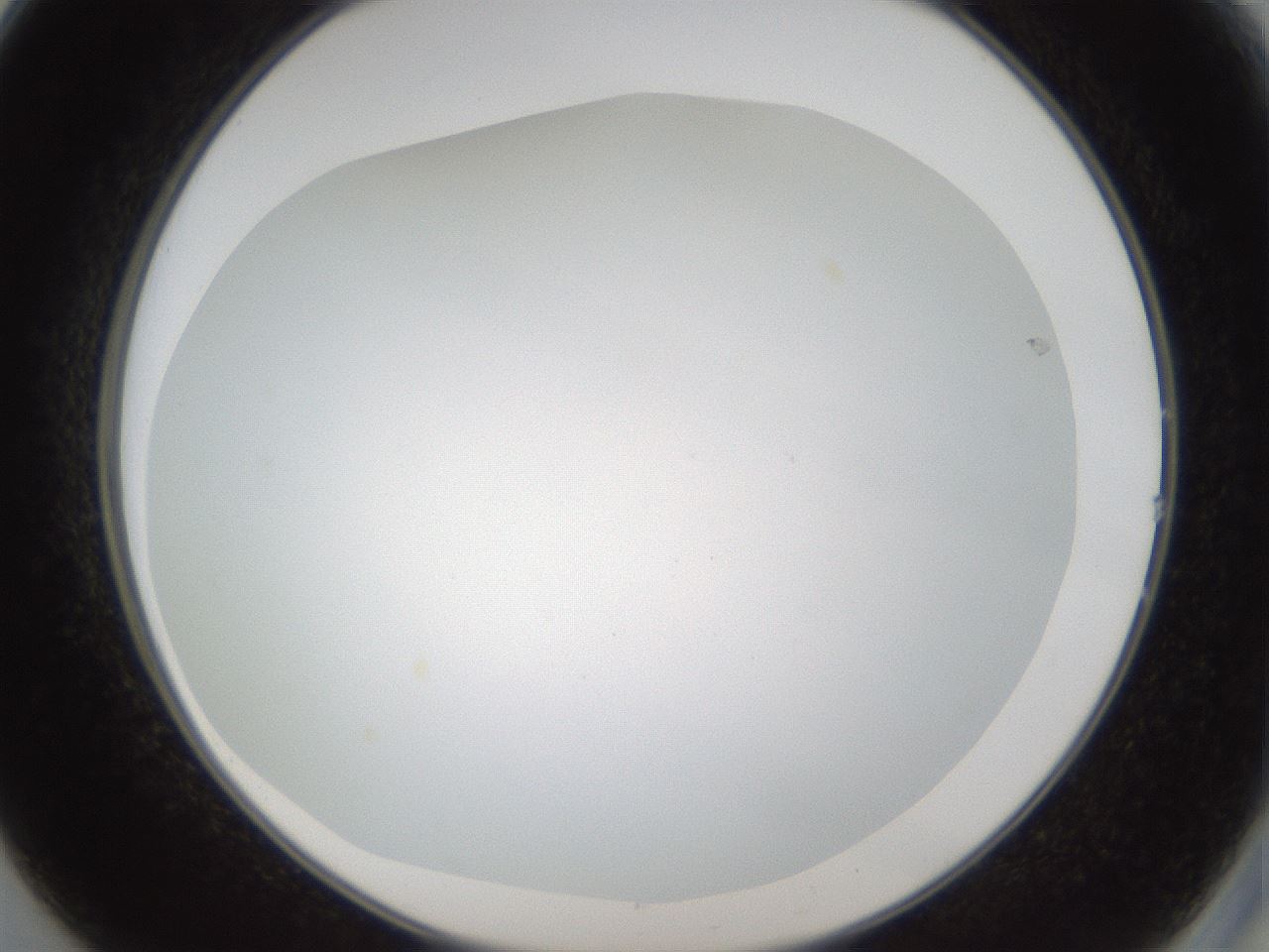 folderID206_plateID1206_batchID3677_wellNum14_profileID1_d2_r66971_ef.jpg