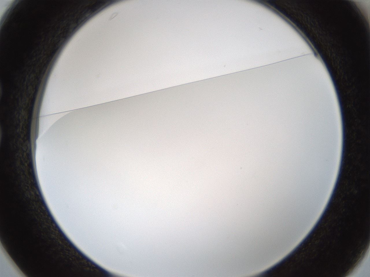 folderID206_plateID1206_batchID3677_wellNum25_profileID1_d1_r66992_ef.jpg