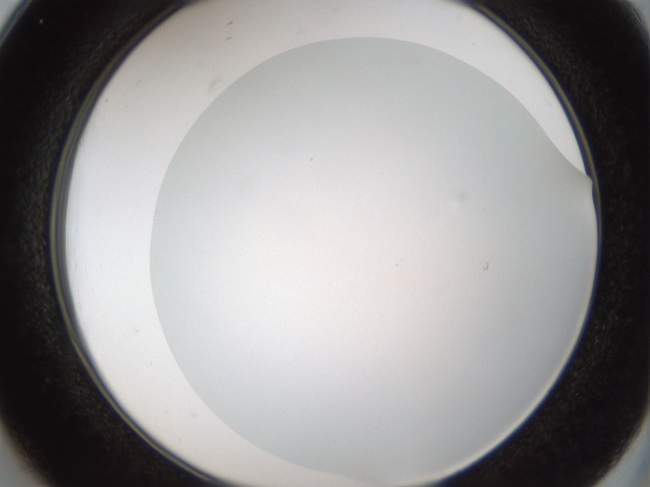 folderID206_plateID1206_batchID3677_wellNum25_profileID1_d2_r66993_ef.jpg