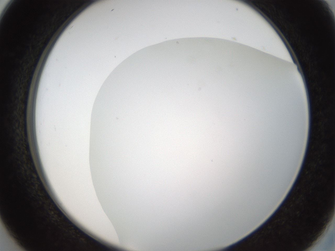 folderID206_plateID1206_batchID3677_wellNum26_profileID1_d2_r66995_ef.jpg