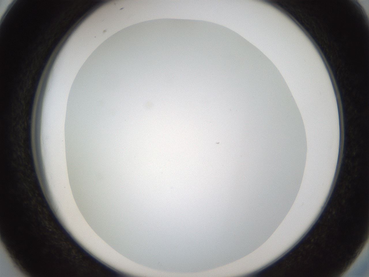 folderID206_plateID1206_batchID3677_wellNum38_profileID1_d2_r67019_ef.jpg