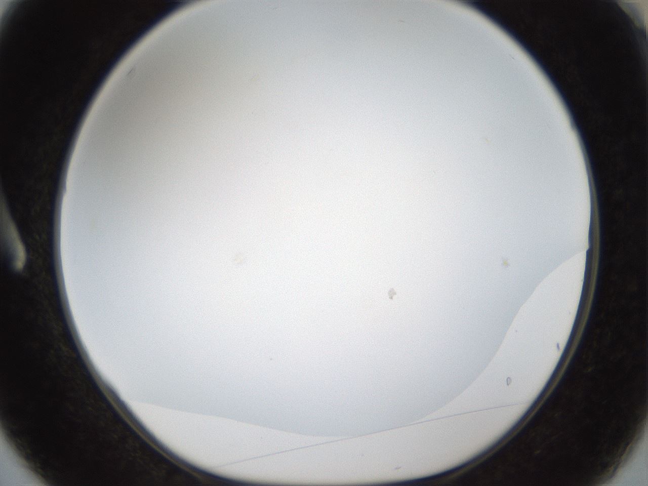 folderID206_plateID1206_batchID3677_wellNum3_profileID1_d1_r66948_ef.jpg
