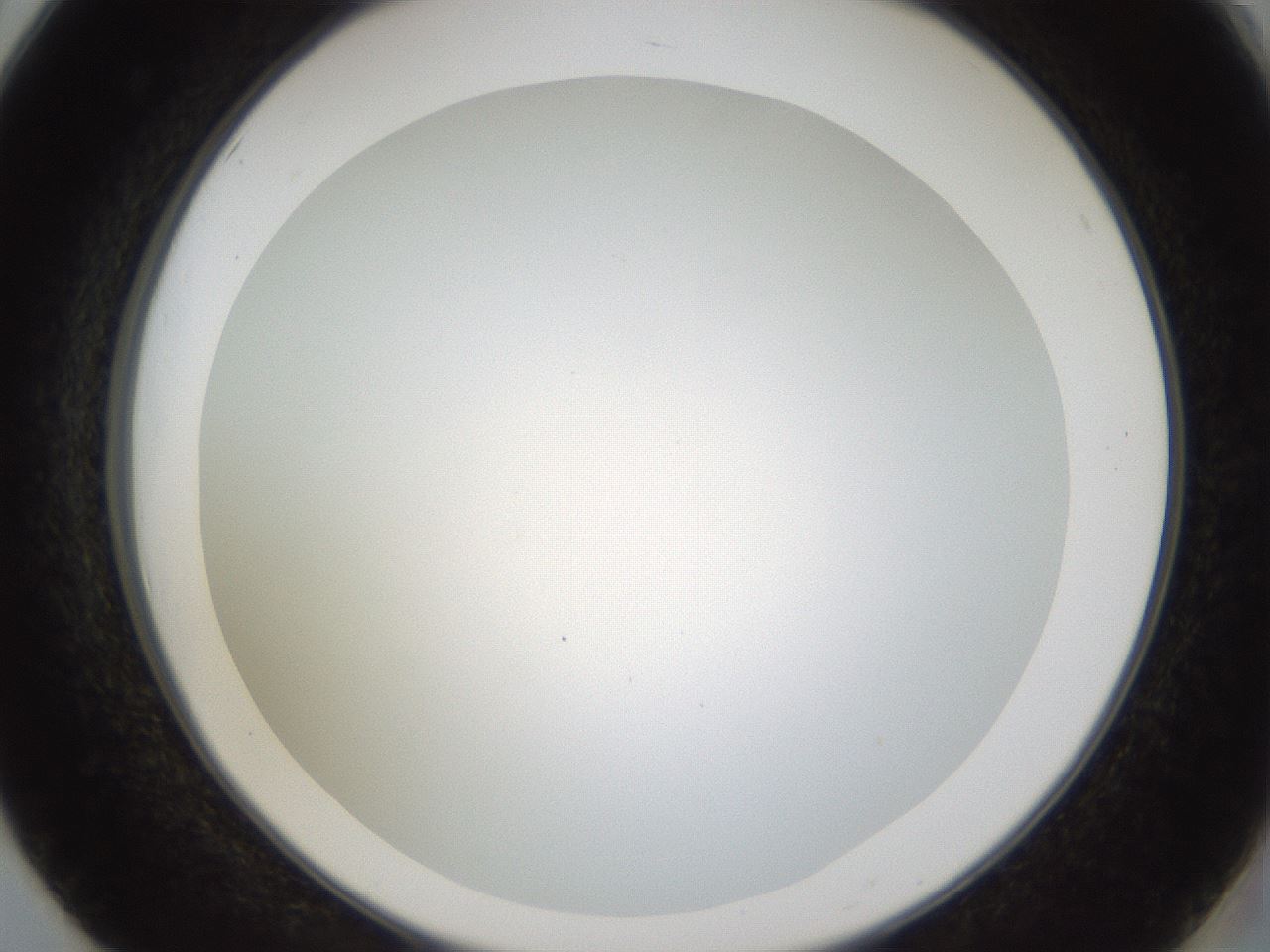 folderID206_plateID1206_batchID3677_wellNum50_profileID1_d2_r67043_ef.jpg