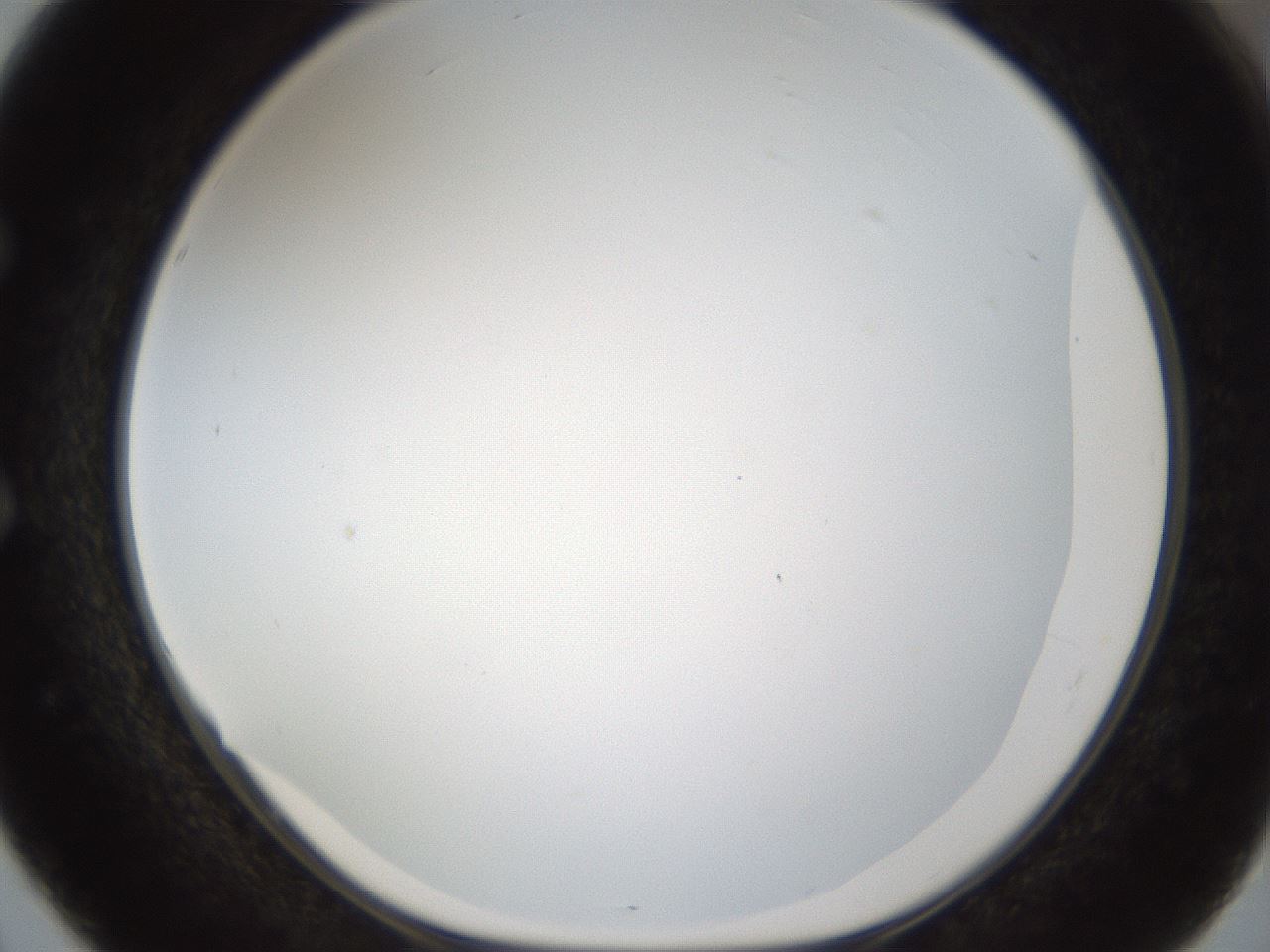 folderID206_plateID1206_batchID3677_wellNum51_profileID1_d1_r67044_ef.jpg