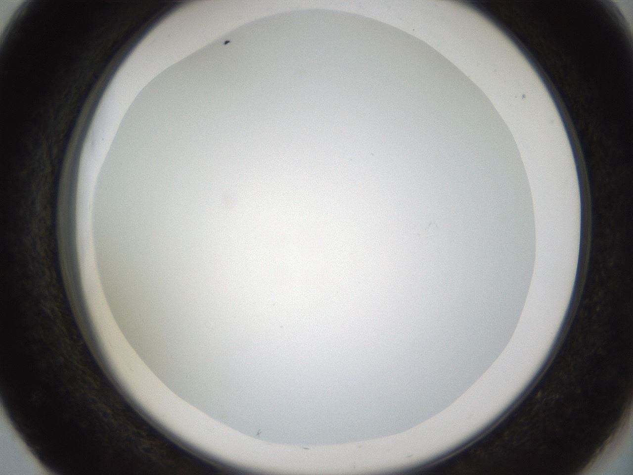 folderID206_plateID1206_batchID3677_wellNum51_profileID1_d2_r67045_ef.jpg