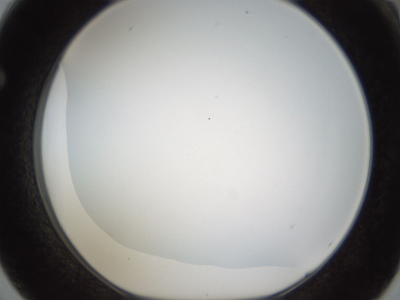 folderID206_plateID1206_batchID3677_wellNum62_profileID1_d1_r67066_ef.jpg