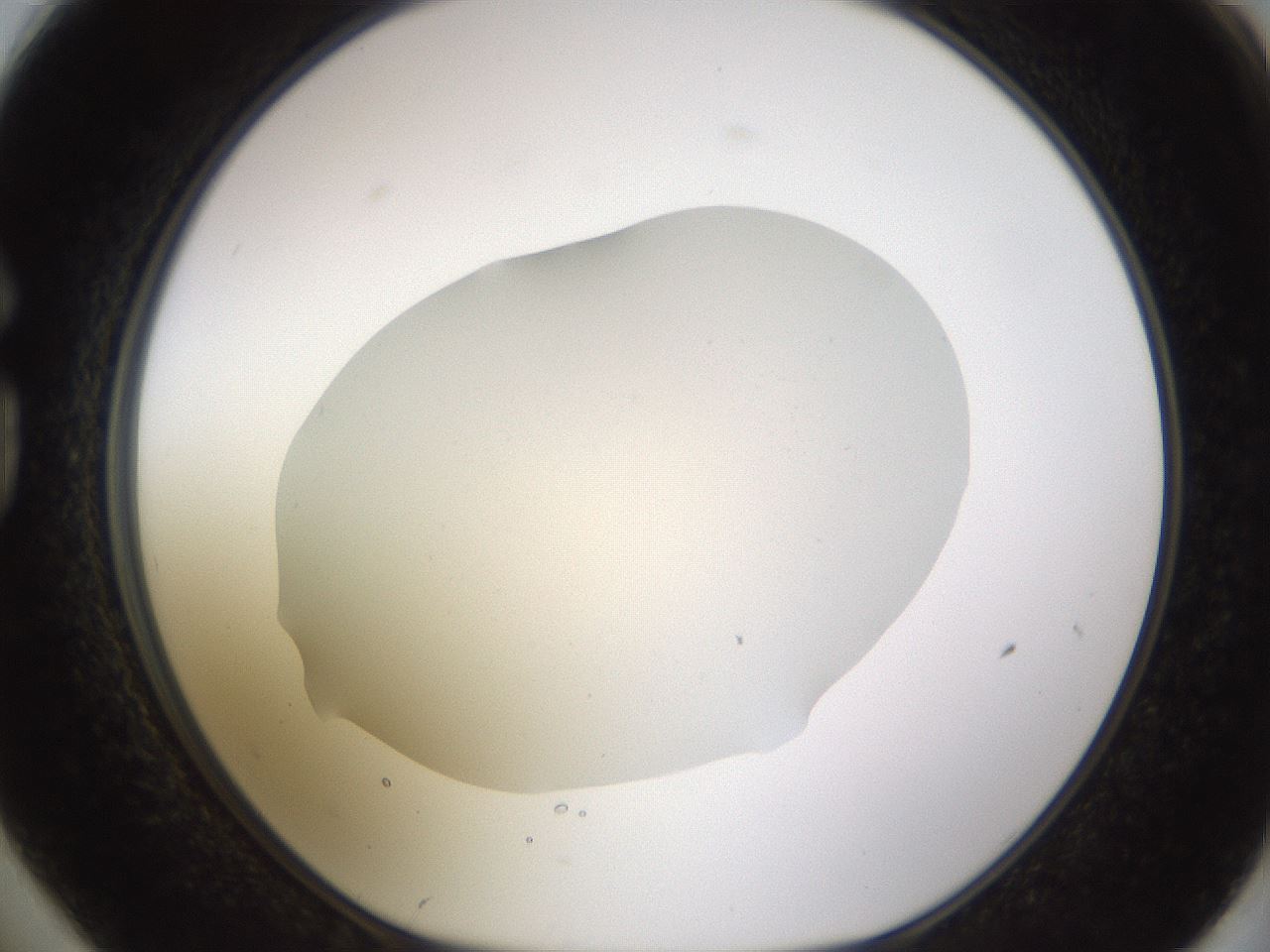 folderID461_plateID1461_batchID5591_wellNum74_profileID1_d1_r92614_ef.jpg